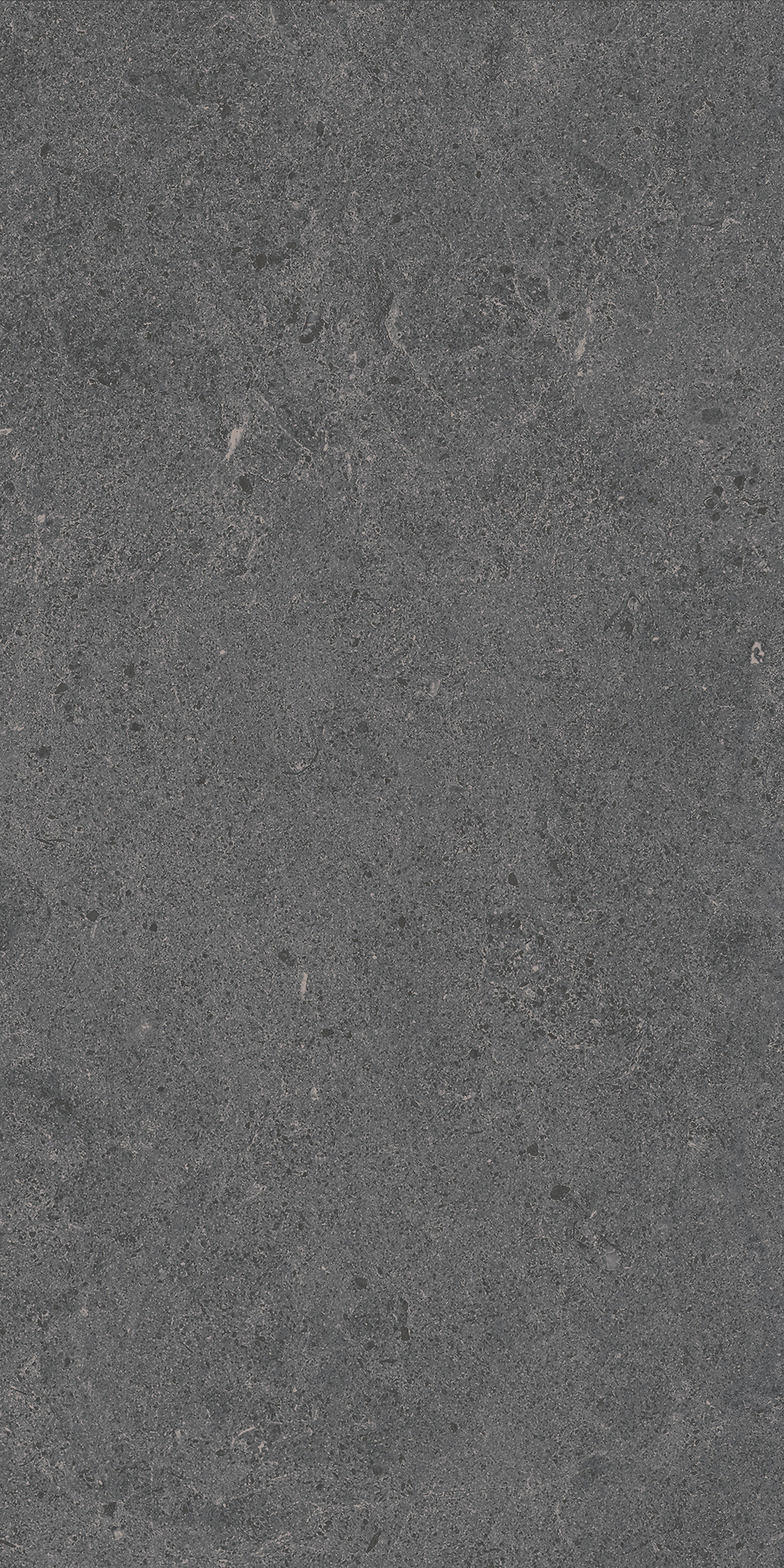 Argent 2.0 - T-2922-ARG2-ARG20-FT-6X24-UPS