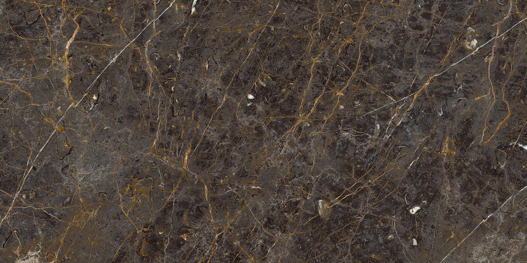 Aesthetica - T-2696-AEST-GOBL-WT-24X48-POL6.5MM