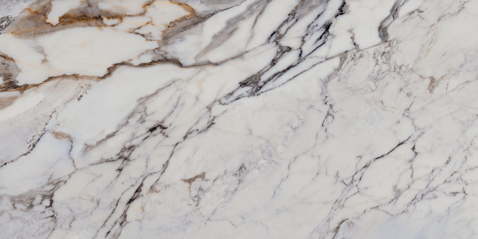 Aesthetica - T-2696-AEST-UG-FT-24X48-POL