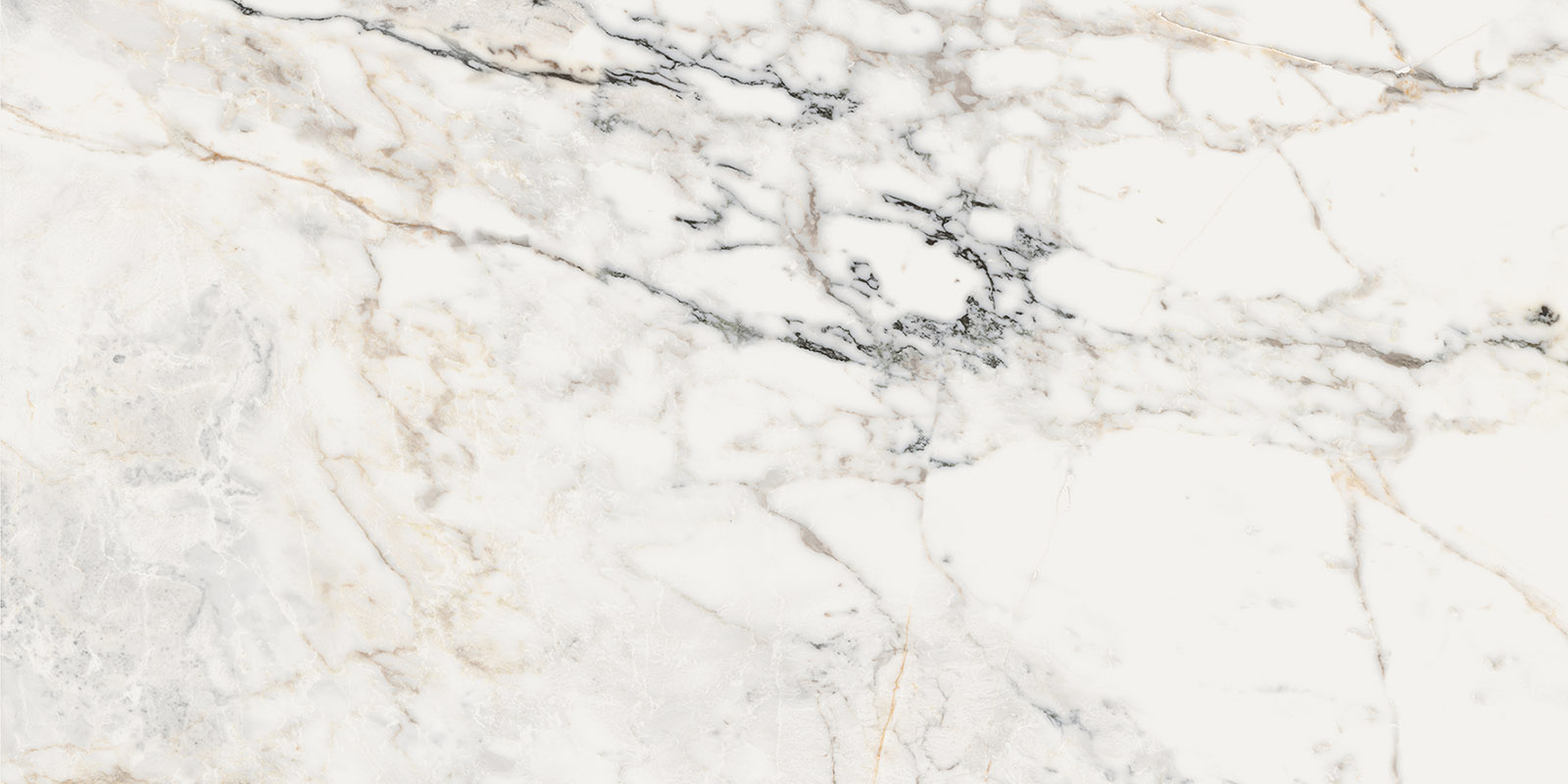 Aesthetica - T-2696-AEST-PAZTO-WT-24X48-NAT6.5MM