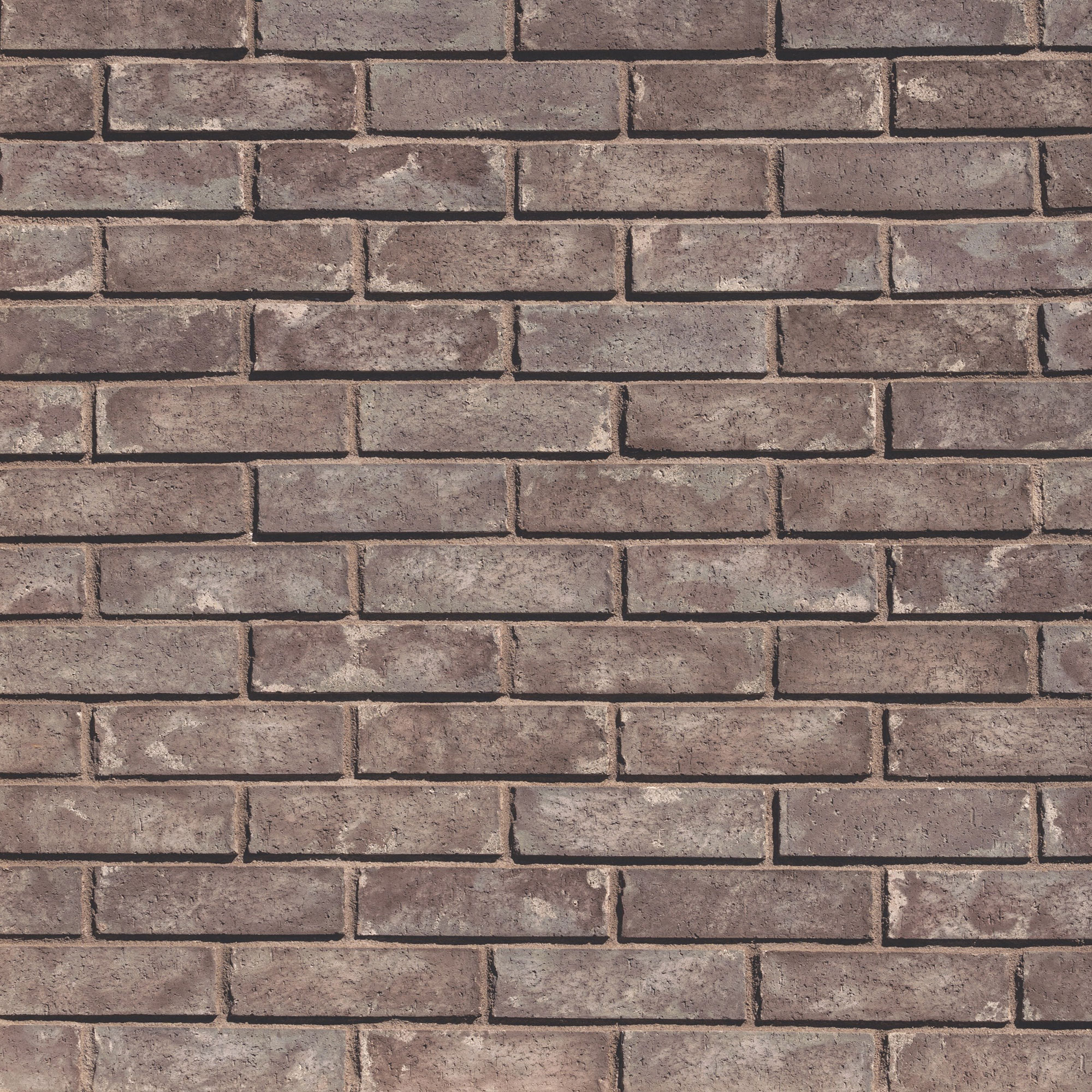 Product image for Craft Warehouse Brick Plumwood Flats
