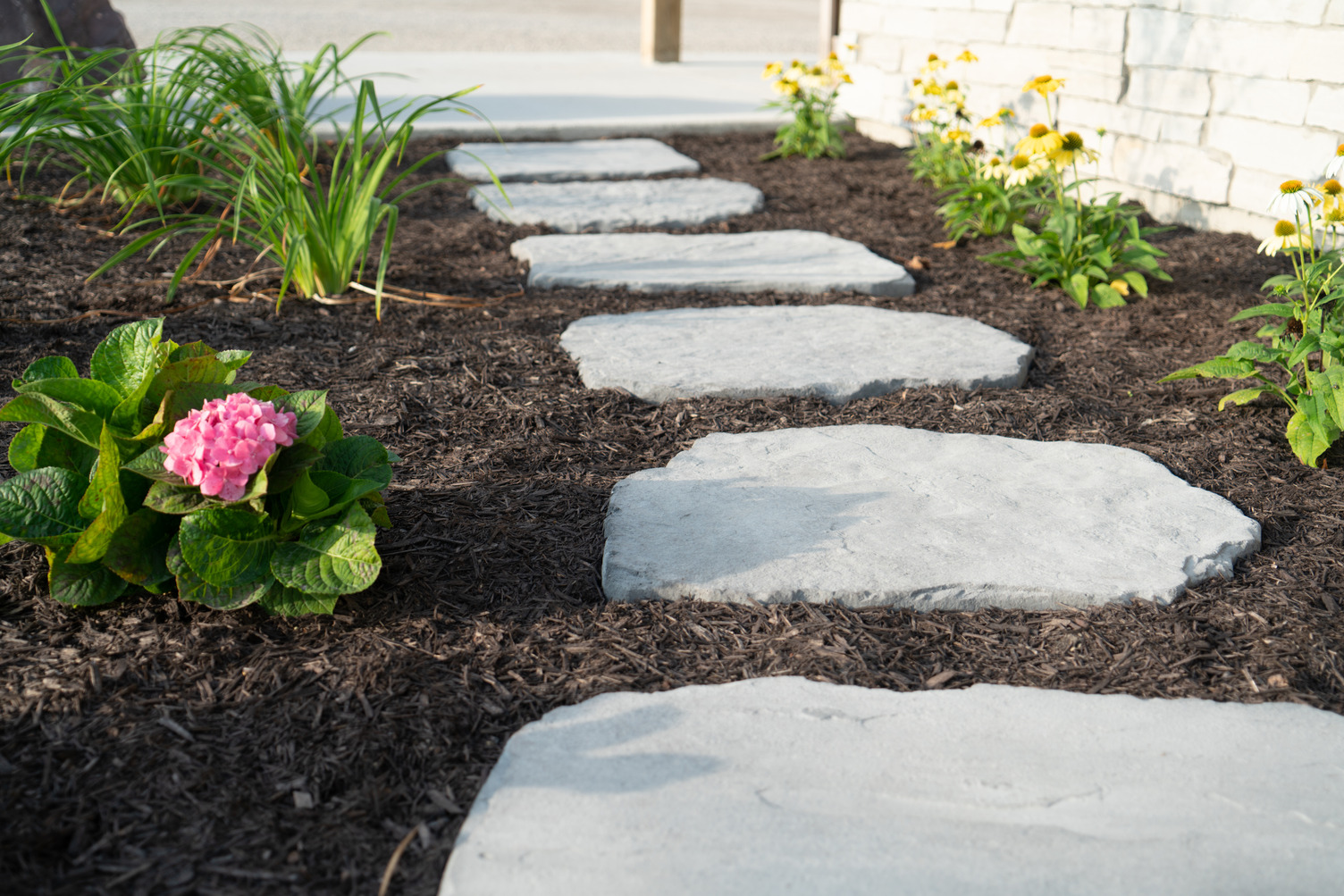 Product image for Superior Steppers