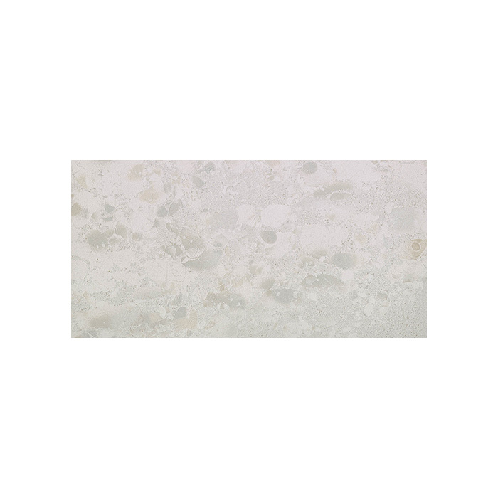 Attitude - T-2696-ATT-W-FT-24X48-MR