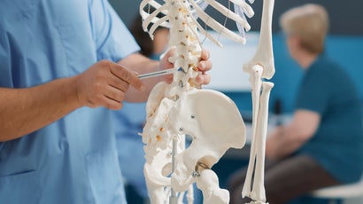 Spine, Neck and Back
