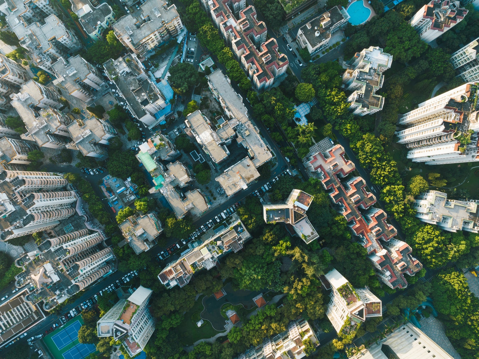 Top view of buildings and trees