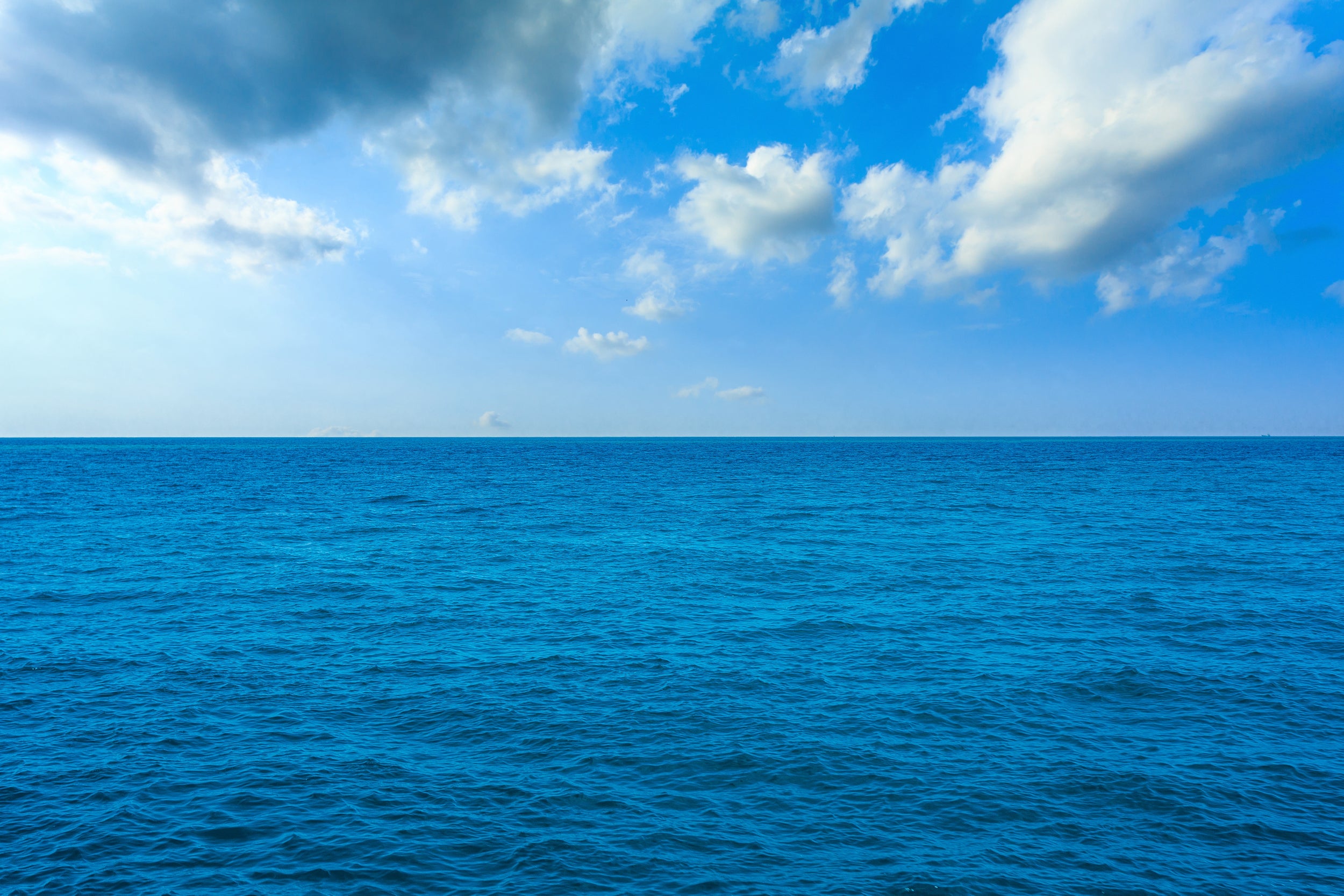 Northern Endurance Partnership awards Halliburton contract for carbon capture and storage monitoring