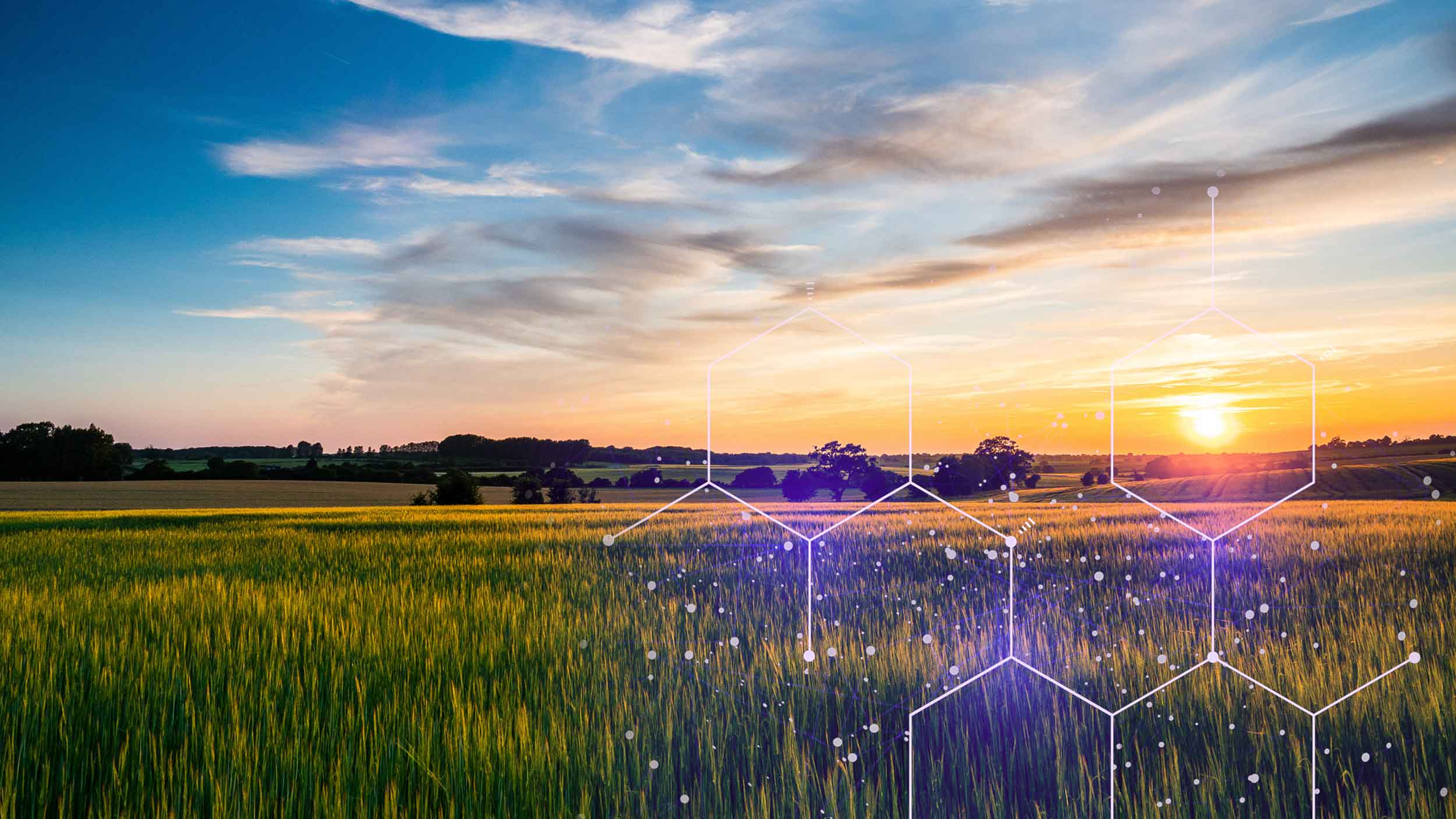 Well Assure™ eco monitoring and abandonment service