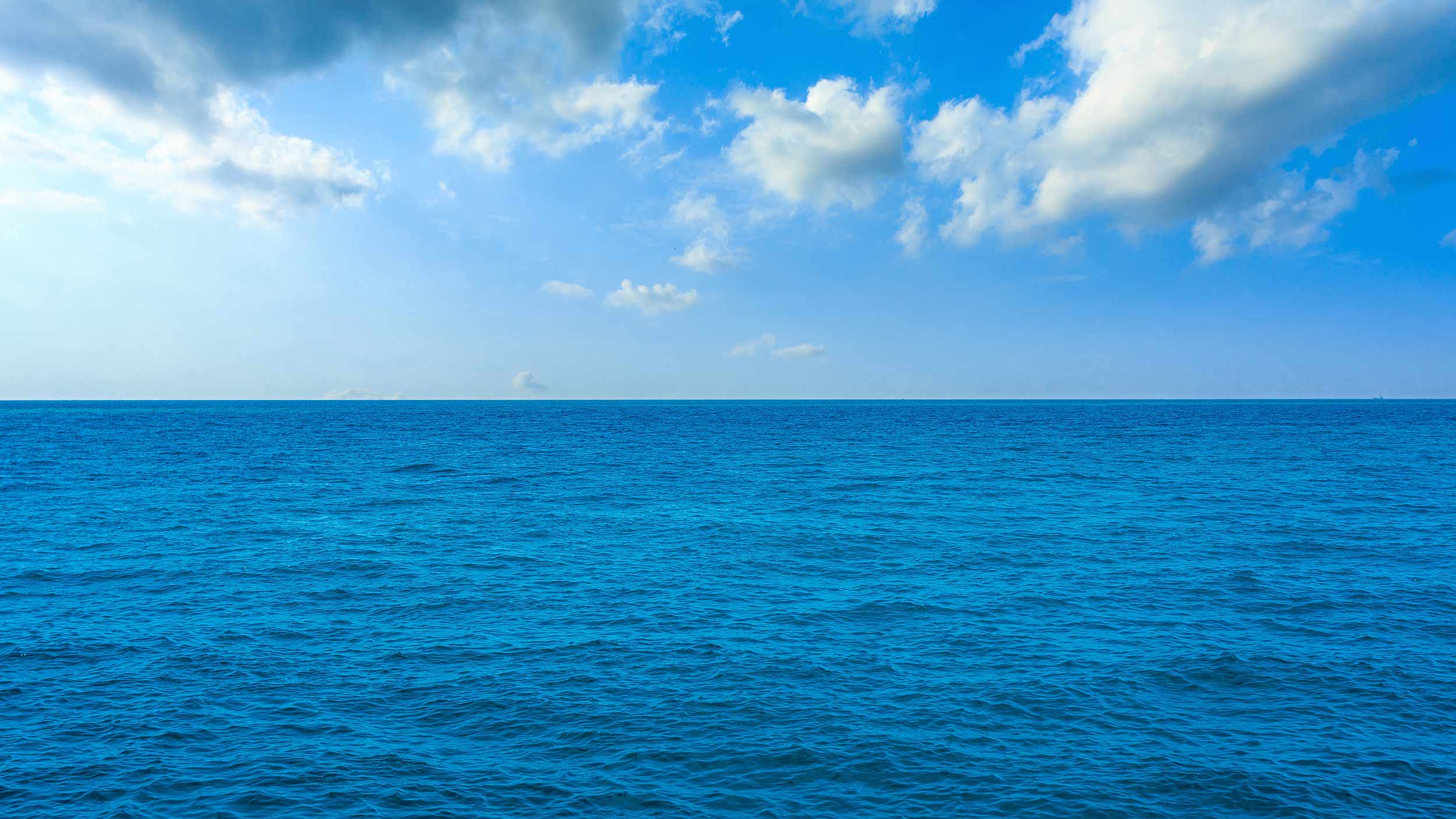 Northern Endurance Partnership awards Halliburton contract for carbon capture and storage monitoring