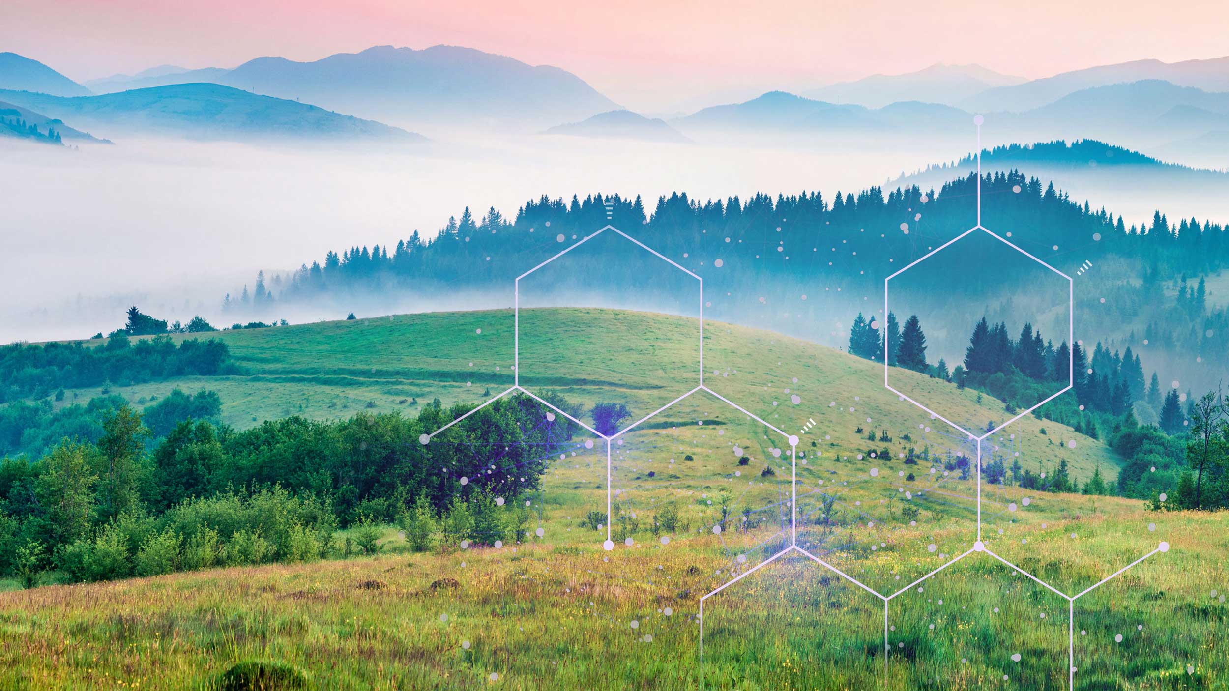 Halliburton Global Sustainability Recognition Awards are a Win 