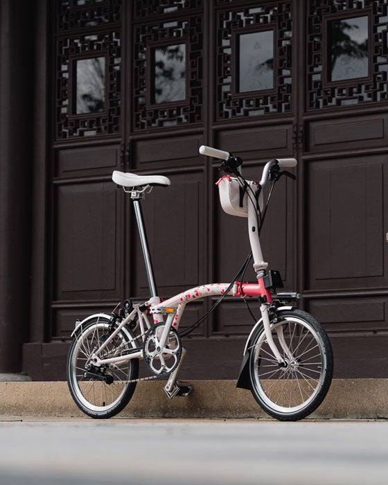Brompton Cherry Blossom