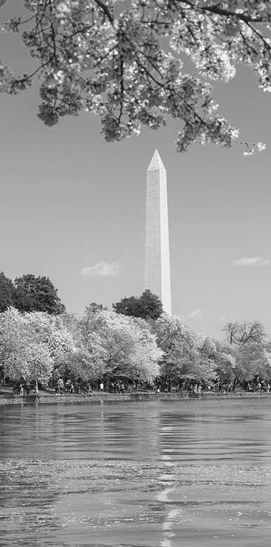 Black and white image of washington D.C monument