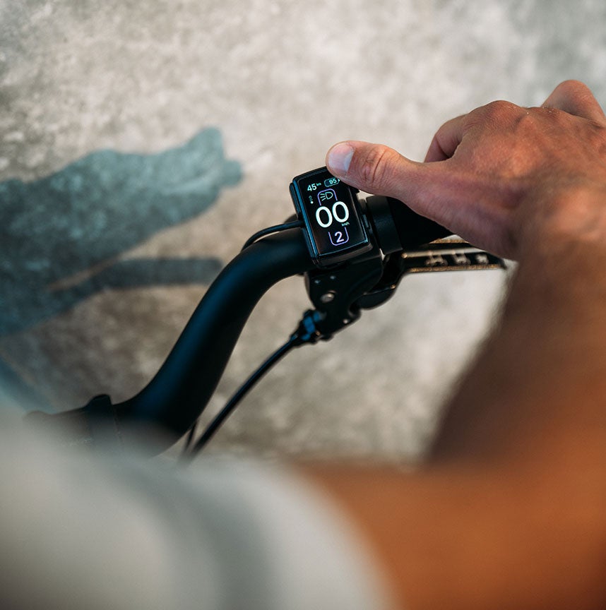 Handlebar control on Electric P Line