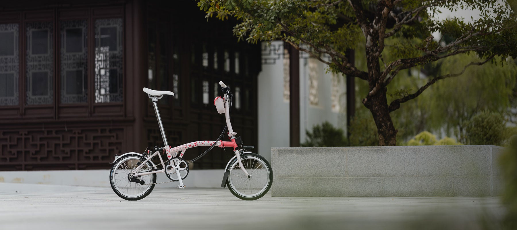 Cherry Blossom bike