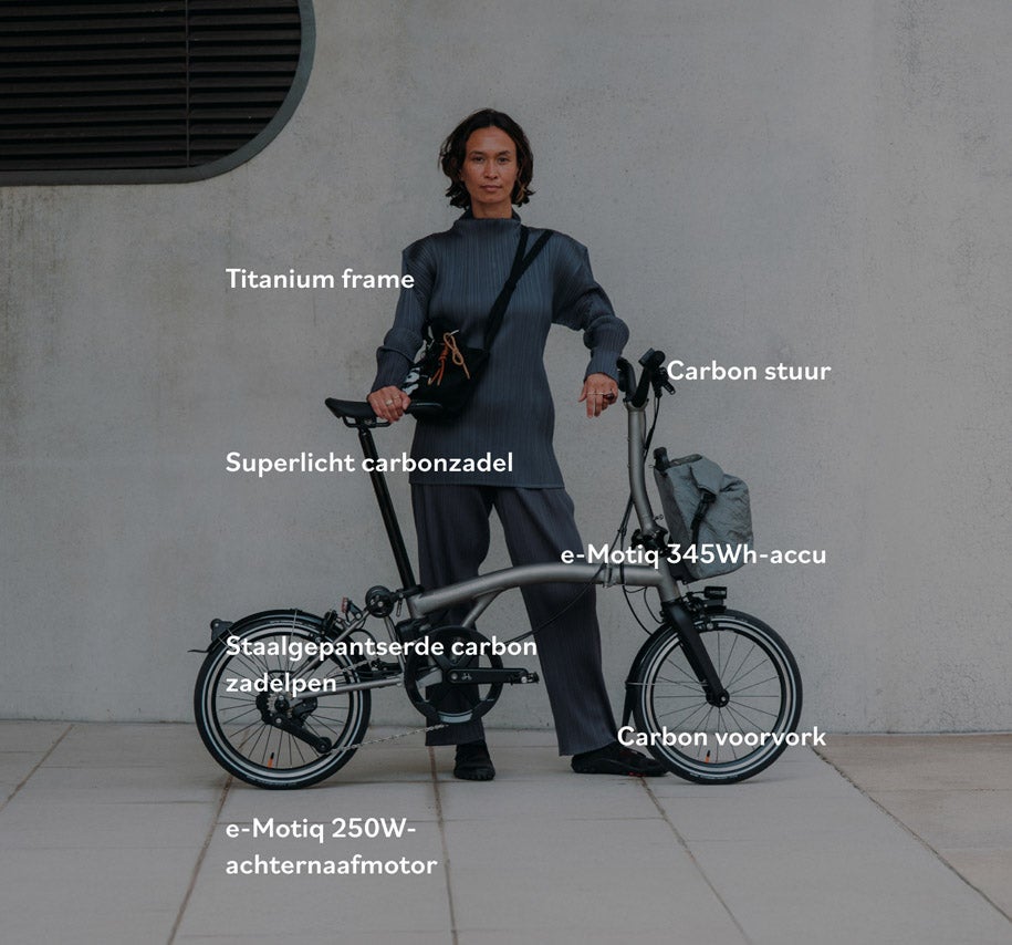 Electric T Line - e-Motiq system - 4-speed Details Graphic