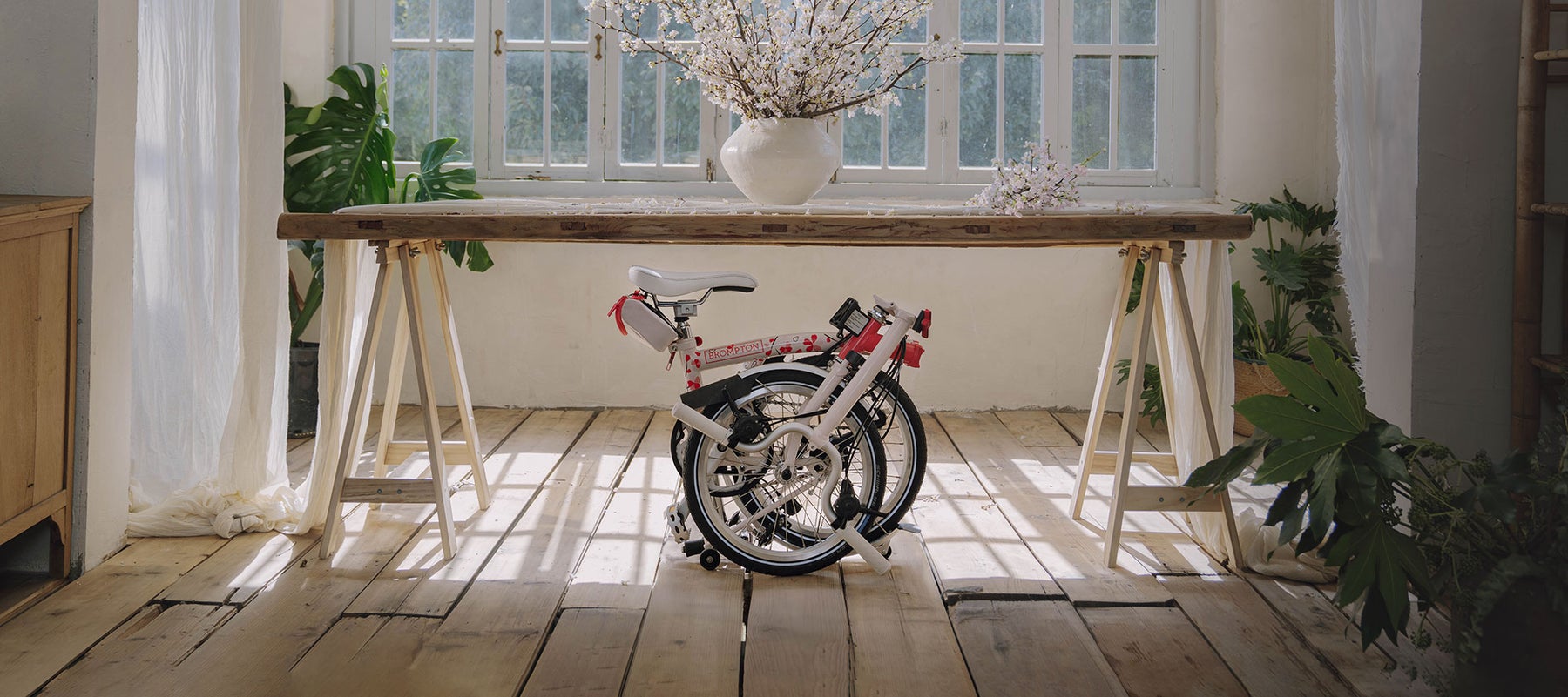 Brompton Cherry blossom