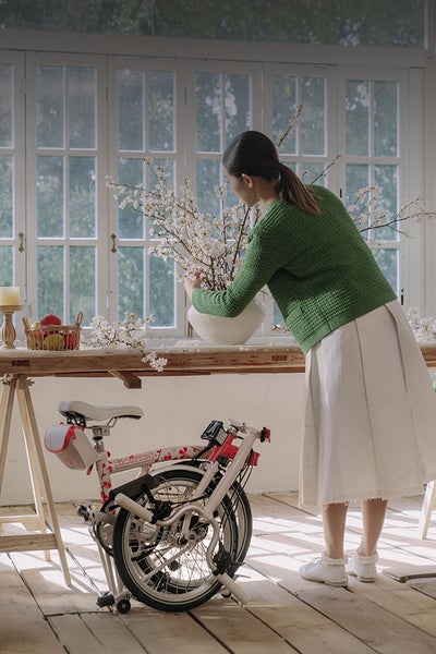 Brompton Cherry blossom