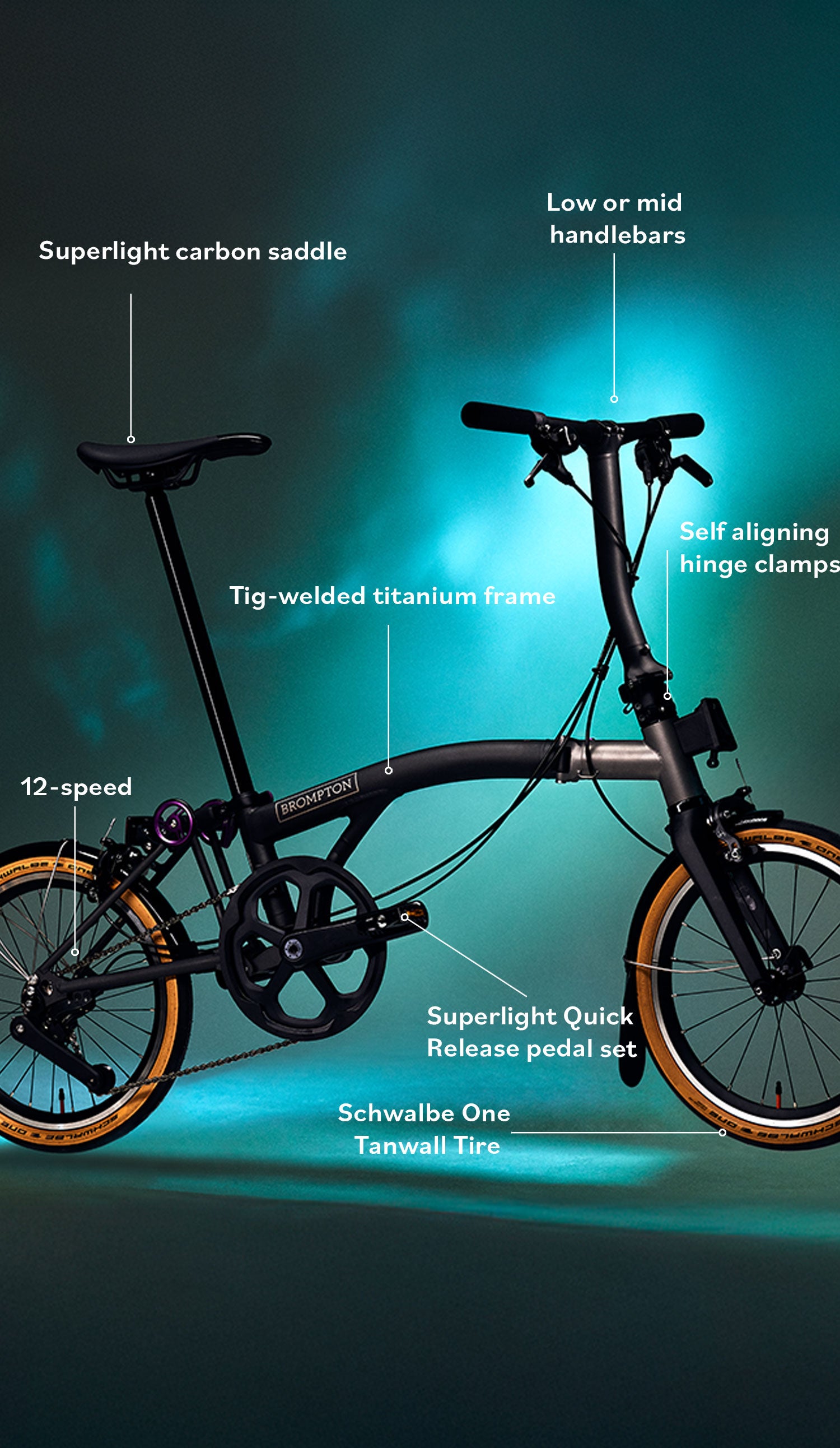 T Line Ceratech