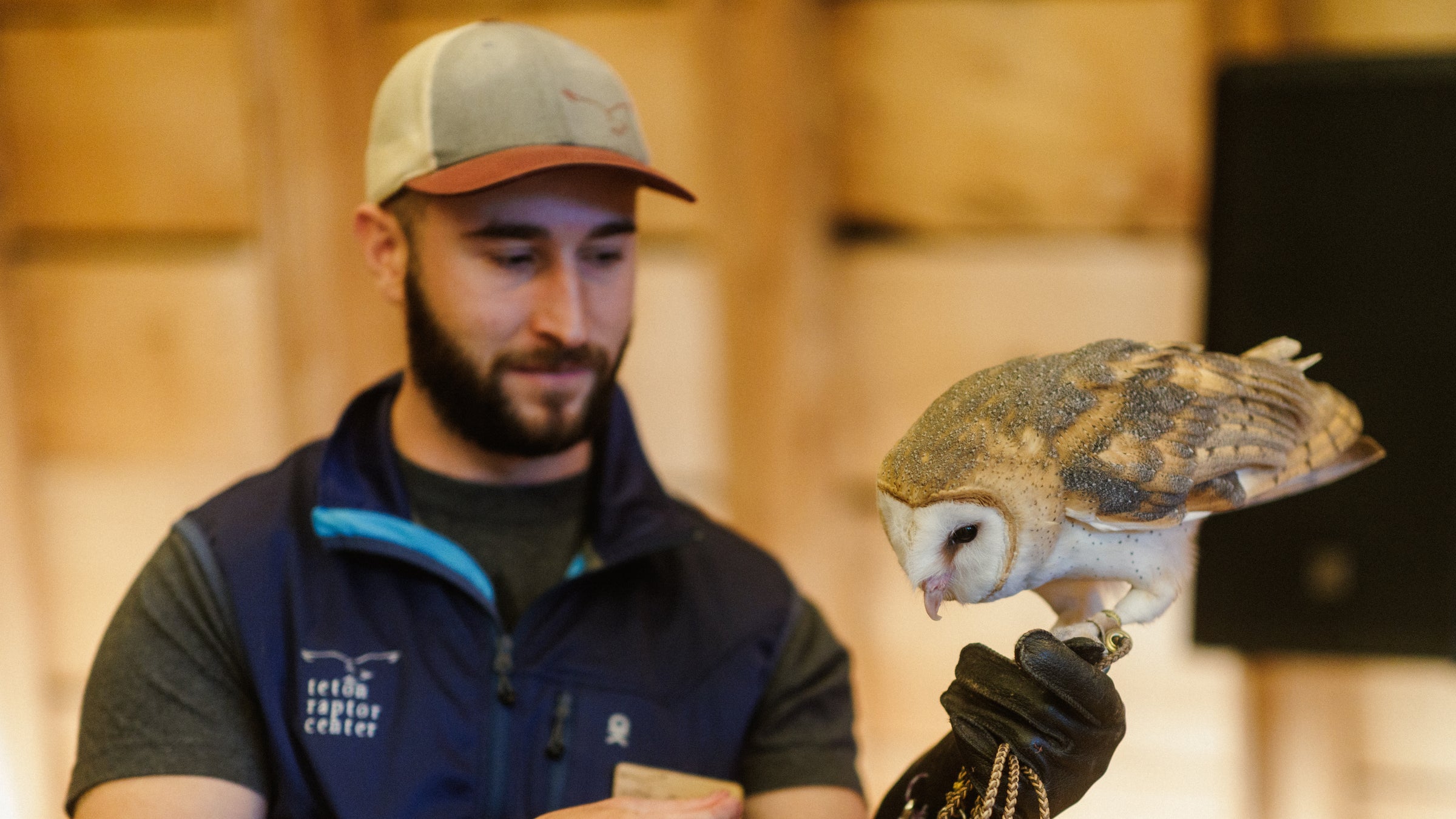 Up close encounters at Teton Raptor Center.