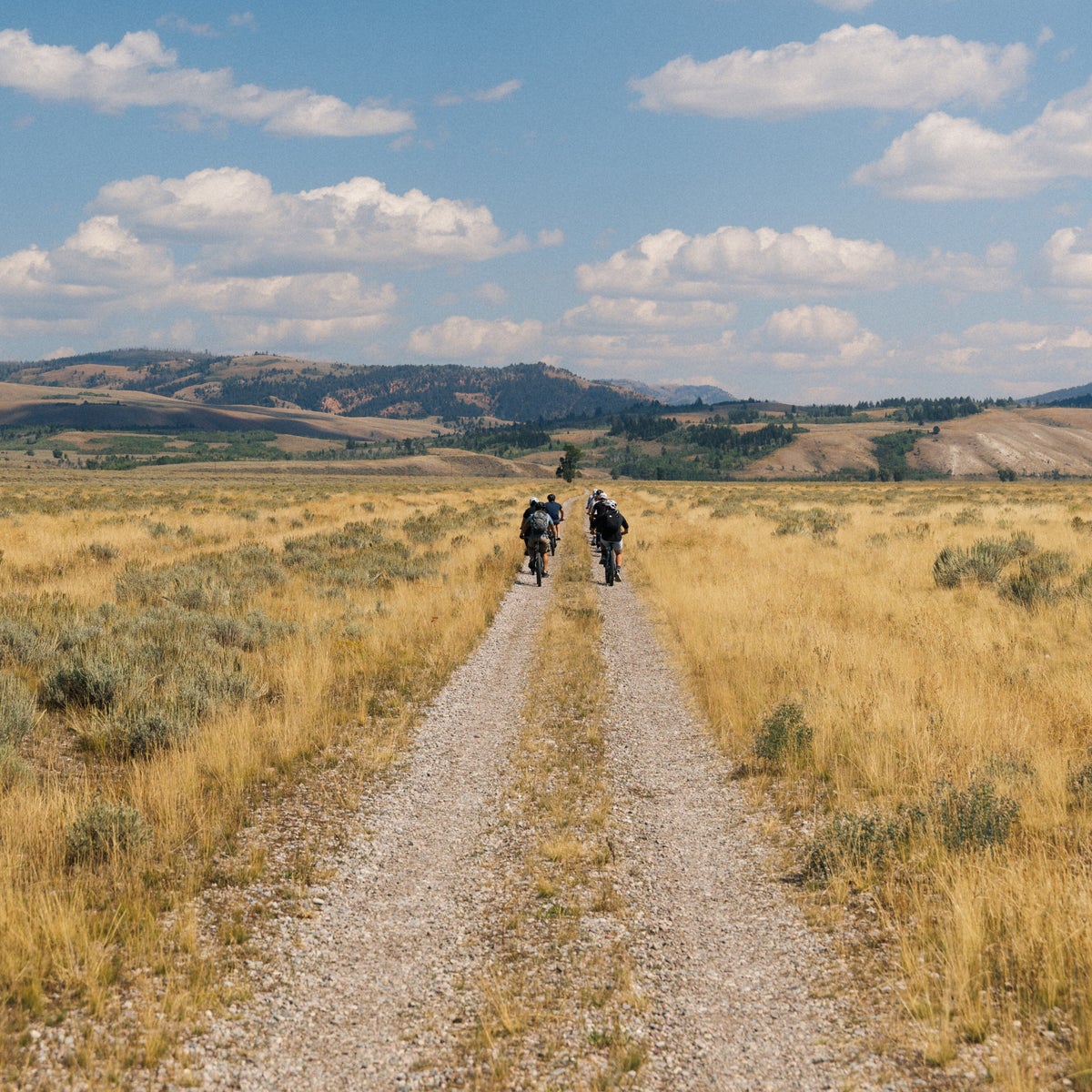 Biking the trails in the Tetons.