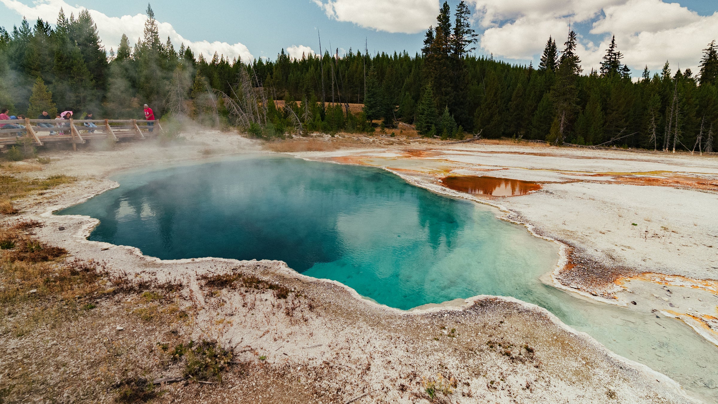 Prismatic springs in Yellowstone National Park.