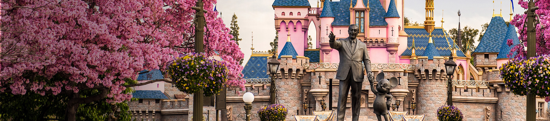 Disneyland Resort Castle