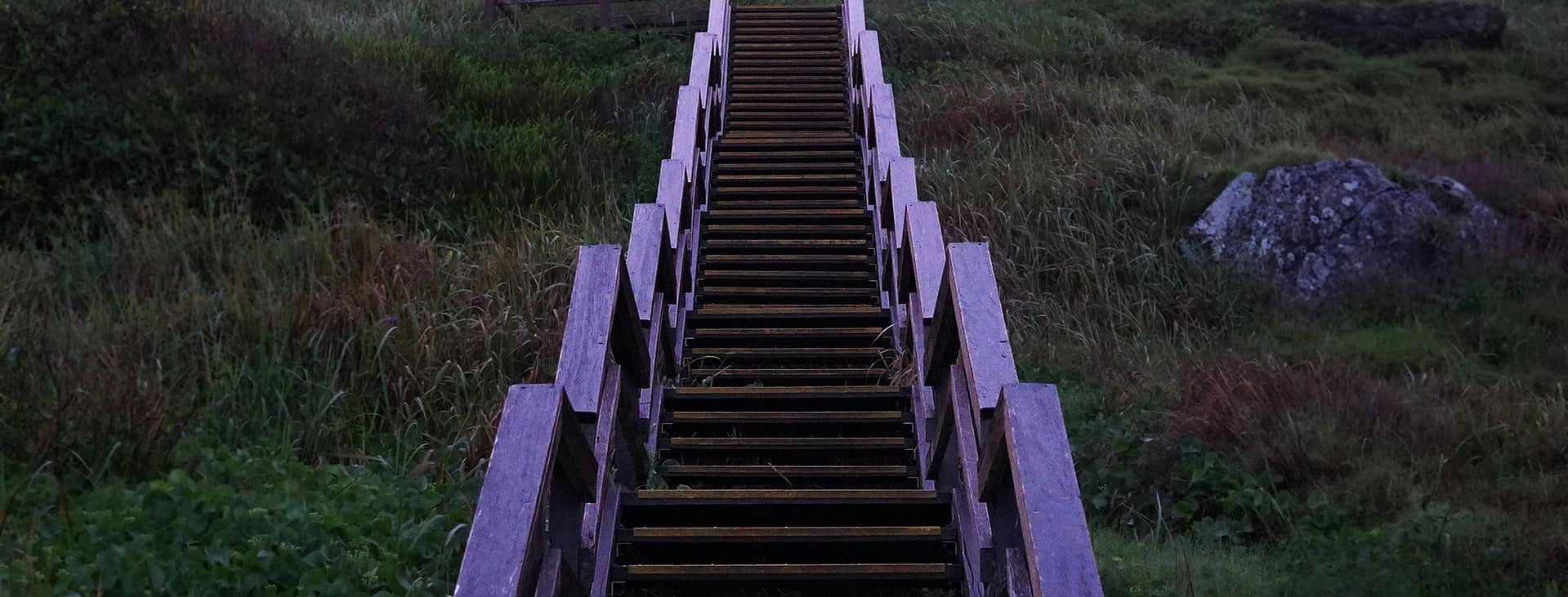Steps with purple handrails_PPT.jpg
