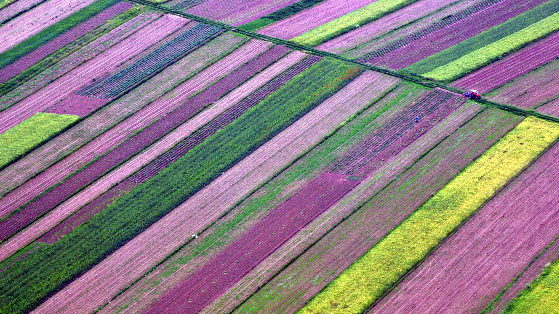 Colorful_fields_N_2368_PPT.jpg
