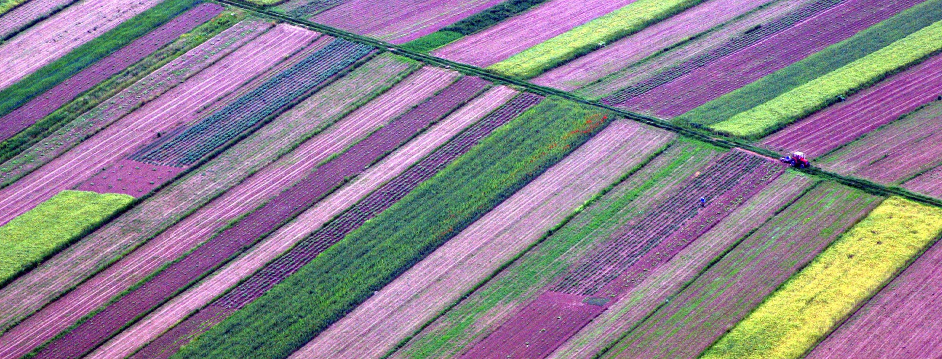 Colorful_fields_N_2368_PPT.jpg