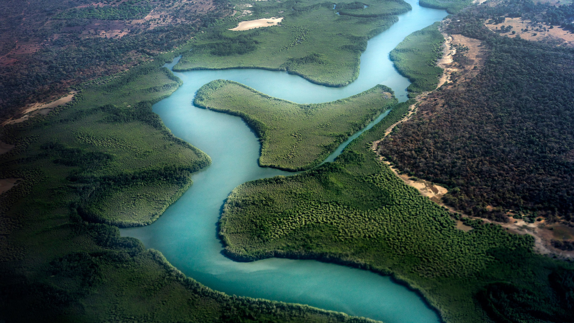 Africa-Wide_Gambia_Mangroves_L_0868_PPT.jpg