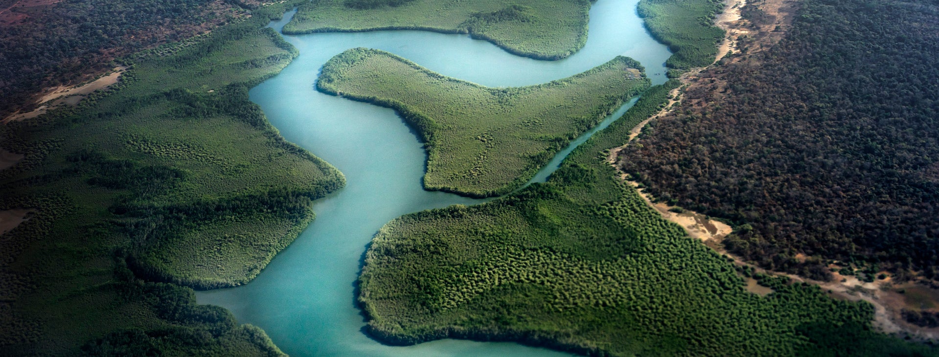 Africa-Wide_Gambia_Mangroves_L_0868_PPT.jpg