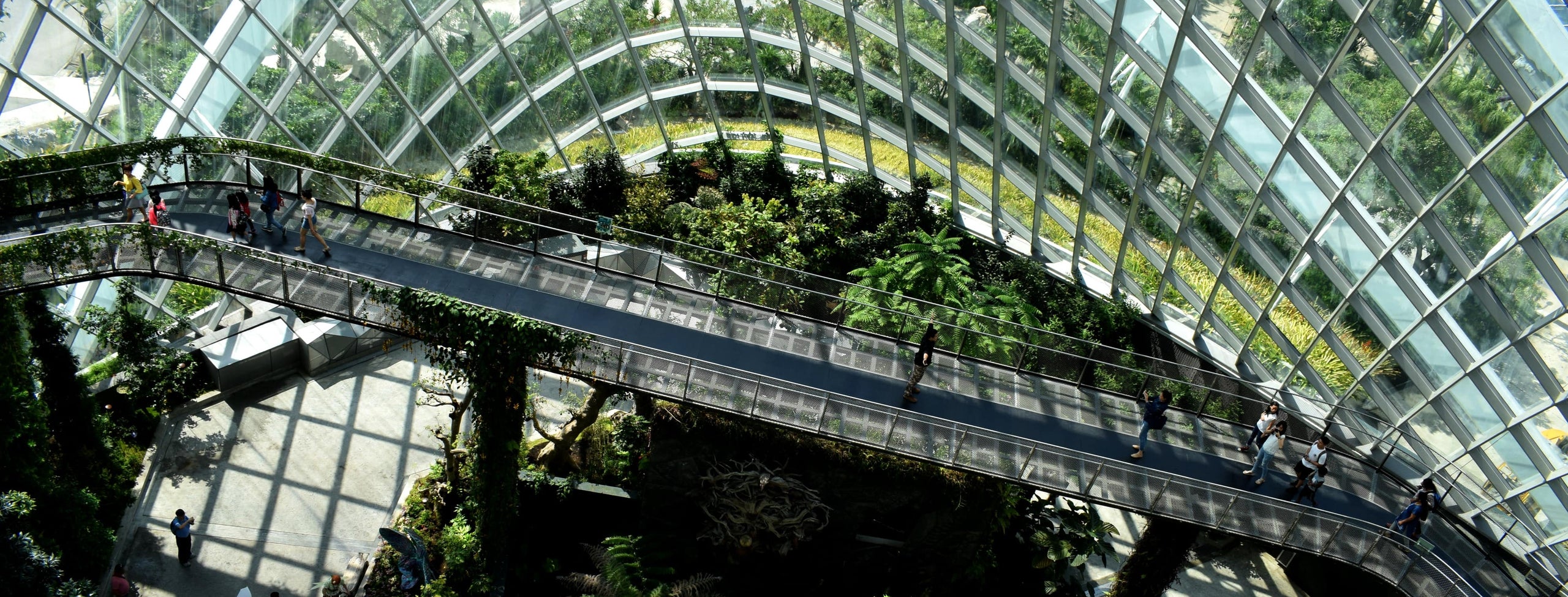 glass building walkway