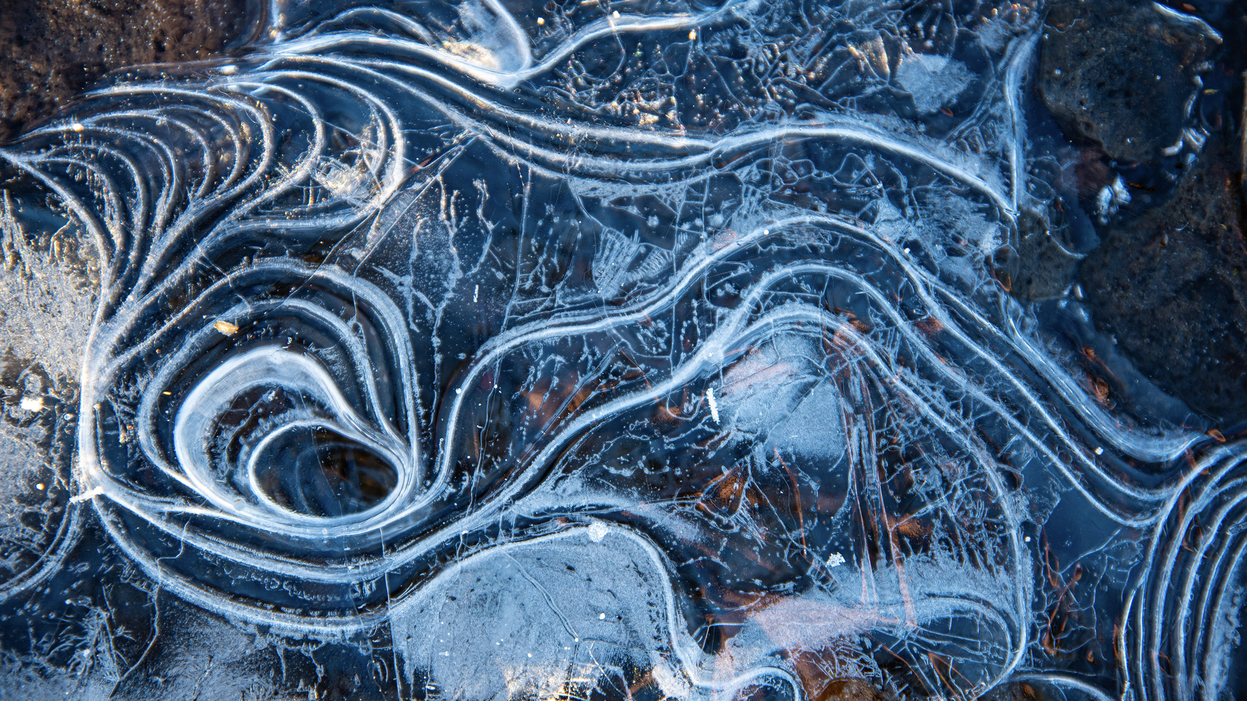 Macro_photo_of_frozen_ice_PPT.jpg
