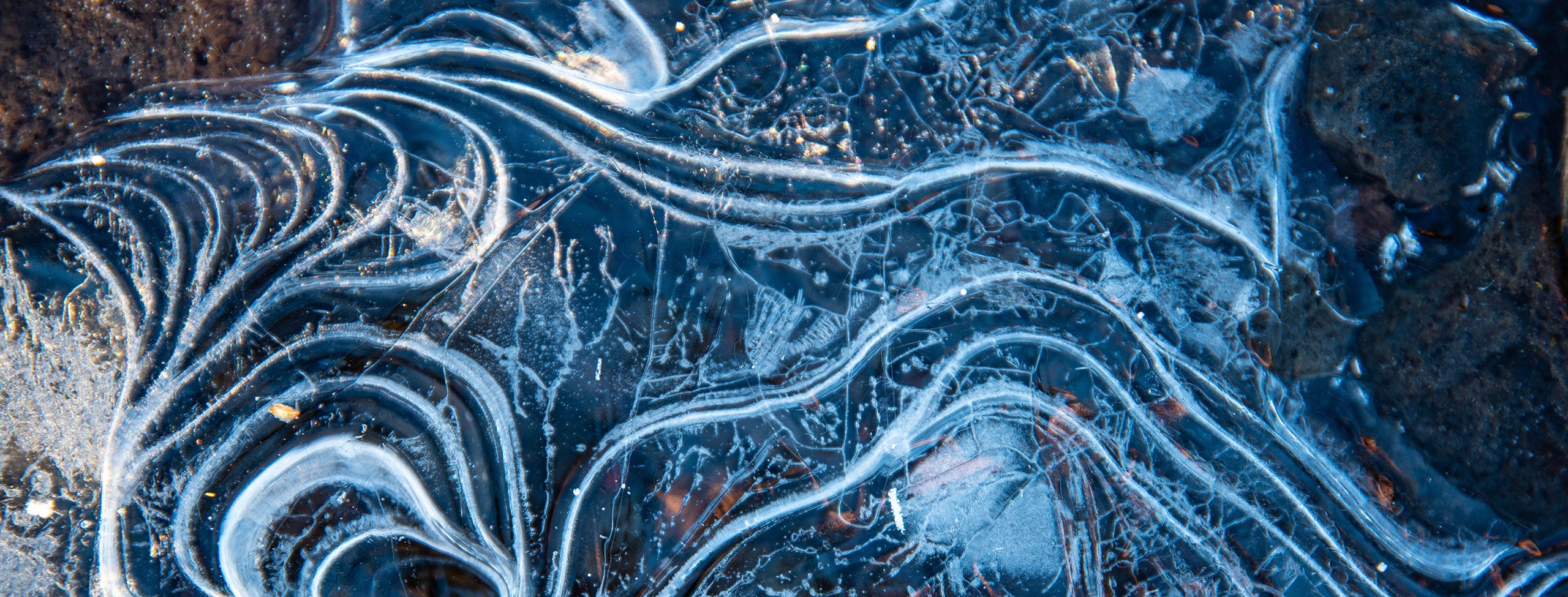 Macro_photo_of_frozen_ice_PPT.jpg